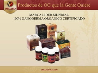 Productos de OG que la Gente Quiere
        MARCA LÍDER MUNDIAL
100% GANODERMA ORGÁNICO CERTIFICADO
 