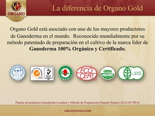 La diferencia de Organo Gold

 Organo Gold está asociado con uno de los mayores productores
 de Ganoderma en el mundo. Reconocido mundialmente por su
método patentado de preparación en el cultivo de la marca líder de
         Ganoderma 100% Orgánico y Certificado.




   Patente de productos Ganoderma Lucidum y Método de Preparación (Patente Numero ZL01101789.9)
 