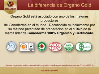 La diferencia de Organo Gold

    Organo Gold está asociado con uno de los mayores
                      productores
de Ganoderma en el mundo. Reconocido mundialmente por
  su método patentado de preparación en el cultivo de la
marca líder de Ganoderma 100% Orgánico y Certificado.




Patente de productos Ganoderma Lucidum y Método de Preparación (Patente Numero ZL01101789.9)
 