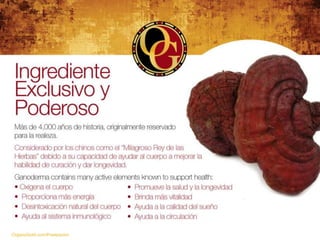 OrganoGold.com/Powerpoint
 