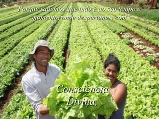 Porque sabemos que tudo é ao seu tempo e momento, onde despertamos com Consciência Divina, 