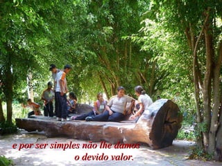 e por ser simples não lhe damos  o devido valor.   