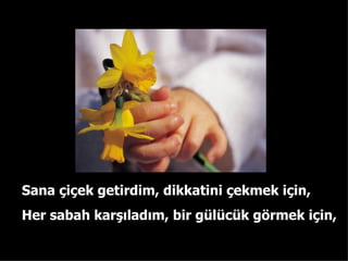 Sana ?i?ek getirdim ,  dikkatini ?ekmek i?in, Her sabah kar??lad?m ,  bir glck g?rmek i?in, 