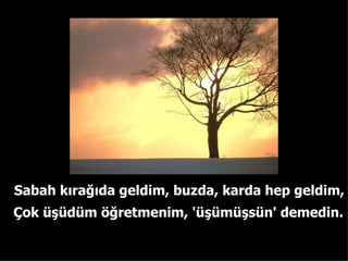 Sabah k?ra??da geldim, buzda, karda hep gel d im, ?ok ?dm ??retmenim ,  '?m? s n' demedin . 