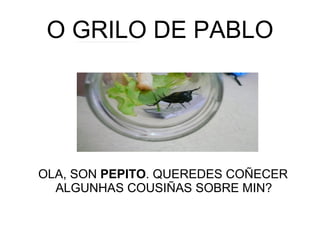 O GRILO DE PABLO ,[object Object]