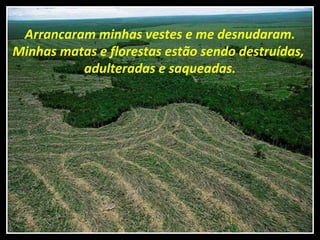 Arrancaram minhas vestes e me desnudaram.
Minhas matas e florestas estão sendo destruídas,
          adulteradas e saqueadas.
 