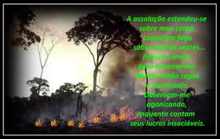 A assolação estendeu-se
sobre meu corpo.
Lançaram fogo
sobre minhas vestes...
Poucos correm
para socorrer-me.
Muitos estão cegos
e insensíveis.
Observam-me
agonizando,
enquanto contam
seus lucros insaciáveis.
 