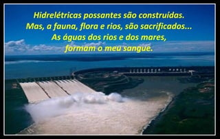 Hidrelétricas possantes são construídas.
Mas, a fauna, flora e rios, são sacrificados...
As águas dos rios e dos mares,
formam o meu sangue.
 