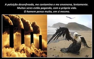 A poluição desenfreada, me contamina e me envenena, lentamente.
Muitos seres estão pagando, com a própria vida.
O homem pensa muito, em si mesmo.
 