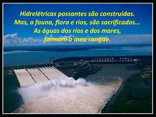 Hidrelétricas possantes são construídas. Mas, a fauna, flora e rios, são sacrificados... As águas dos rios e dos mares, formam o meu sangue. 