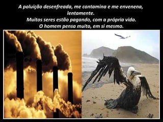 A poluição desenfreada, me contamina e me envenena,
lentamente.
Muitos seres estão pagando, com a própria vida.
O homem pensa muito, em si mesmo.
 
