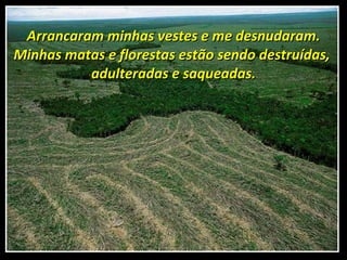 Arrancaram minhas vestes e me desnudaram. Minhas matas e florestas estão sendo destruídas,  adulteradas e saqueadas. 