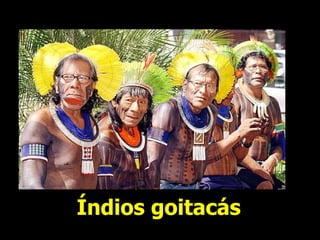 Índios goitacás
 