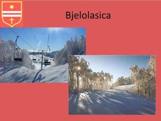 Bjelolasica 
 