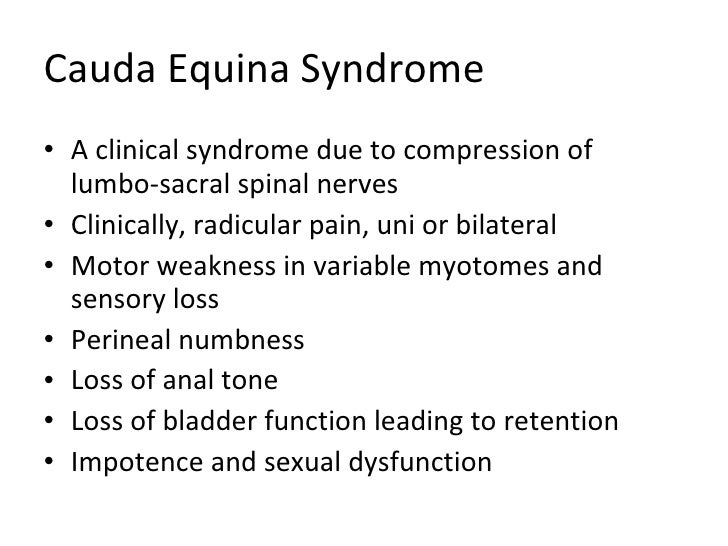 Cauda Equina Syndrome Outlook For Recovery