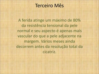 Terceiro Mês
A ferida atinge um máximo de 80%
da resistência tensional da pele
normal e seu aspecto é apenas mais
vascular do que a pele adjacente na
margem. Vários meses ainda
decorrem antes da resolução total da
cicatriz.
 