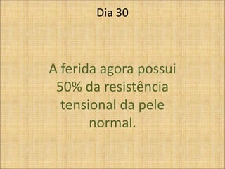 Dia 30
A ferida agora possui
50% da resistência
tensional da pele
normal.
 