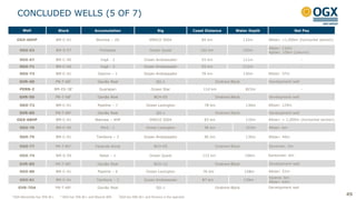 CONCLUDED WELLS (5 OF 7)
¹ OGX Maranhão has 70% W.I. ² OGX has 70% W.I. and Maersk 30% ³OGX has 50% W.I. and Perenco is the operator
45
Well Block Accumulation Rig Coast Distance Water Depth Net Pay
OGX-60HP BM-C-41 Waimea – 2D ENSCO 5004 84 km 132m Albian: >1,000m (horizontal section)
OGX-63 BM-S-57 Fortaleza Ocean Quest 102 km 155m
Albian: 110m
Aptian: 150m (column)
OGX-67 BM-C-40 Ingá - 2 Ocean Ambassador 93 km 111m -
OGX-71 BM-C-40 Ingá - 3 Ocean Ambassador 93 km 112m -
OGX-73 BM-C-41 Osorno – 1 Ocean Ambassador 78 km 130m Albian: 37m
GVR-4D PN-T-681
Gavião Real QG-1 Onshore Block Development well
PERN-2 BM-ES-38³ Guarapari Ocean Star 110 km 823m -
GVR-5D PN-T-681
Gavião Real BCH-05 Onshore Block Development well
OGX-72 BM-C-41 Pipeline – 7 Ocean Lexington 78 km 130m Albian: 129m
GVR-6D PN-T-68¹ Gavião Real QG-1 Onshore Block Development well
OGX-68HP BM-C-41 Waimea – 4HP ENSCO 5004 83 km 135m Albian: > 1,000m (horizontal section)
OGX-76 BM-C-40 Peró - 1 Ocean Lexington 96 km 103m Albian: 6m
OGX-75 BM-C-41 Tambora – 3 Ocean Ambassador 86 km 130m Albian: 49m
OGX-77 PN-T-85¹ Fazenda Axixá BCH-05 Onshore Block Devonian: 2m
OGX-74 BM-S-59 Natal – 1 Ocean Quest 115 km 196m Santonian: 6m
GVR-8D PN-T-68¹ Gavião Real BCH-12 Onshore Block Development well
OGX-80 BM-C-41 Pipeline – 6 Ocean Lexington 76 km 128m Albian: 51m
OGX-81 BM-C-41 Tambora – 2 Ocean Ambassador 87 km 139m
Eocene: 6m
Albian: 62m
GVR-7DA PN-T-68¹ Gavião Real QG-1 Onshore Block Development well
 
