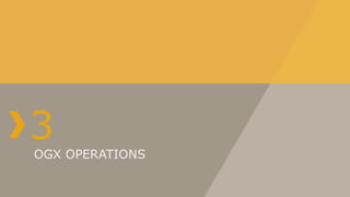 3
OGX OPERATIONS
 