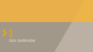 OGX Management Presentation | PDF