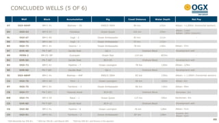 OGX Management Presentation | PDF