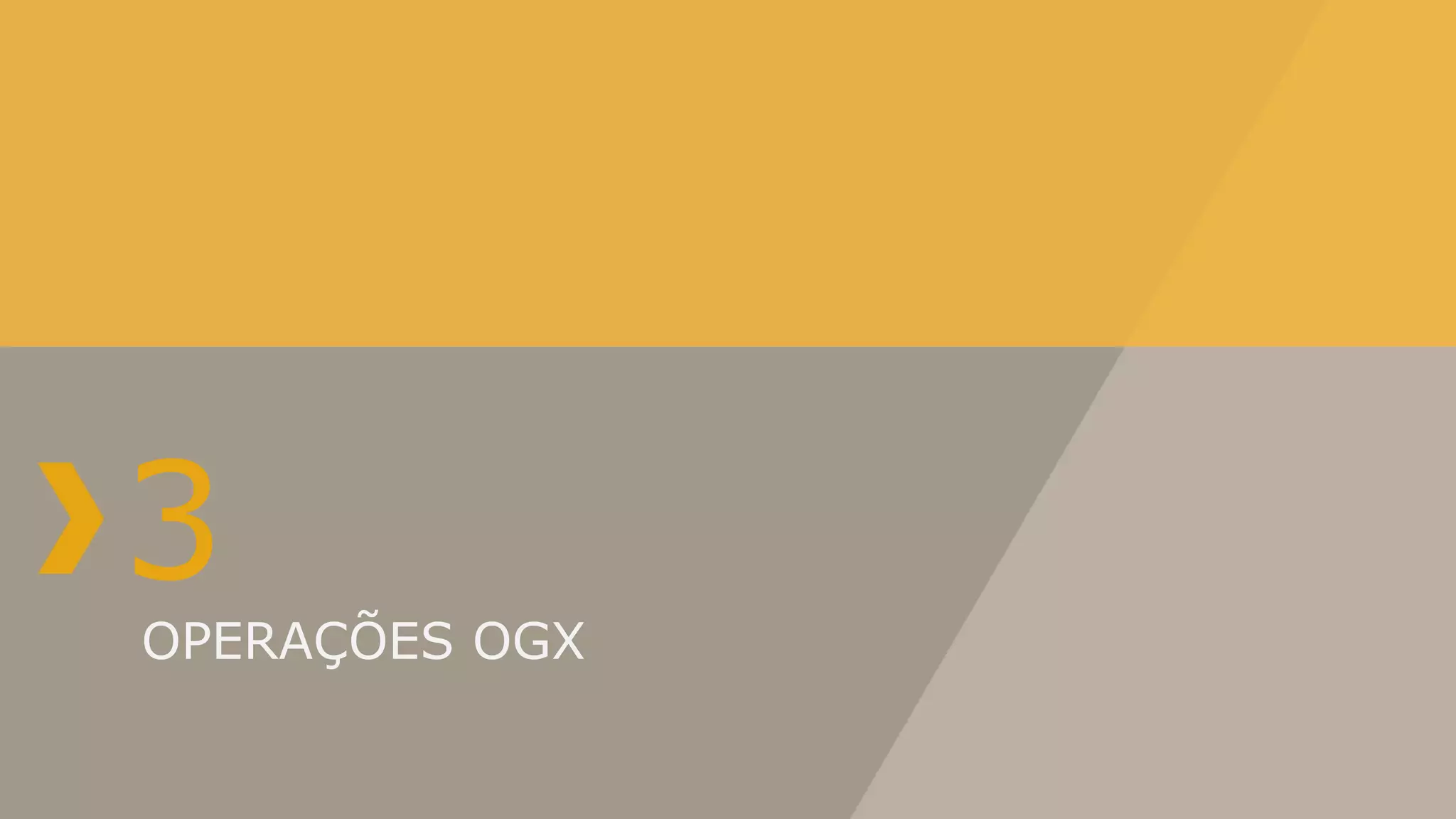 3
OPERAÇÕES OGX
 