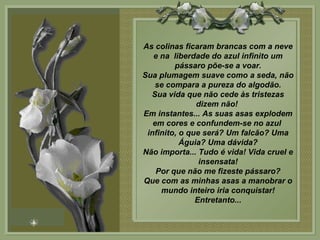 As colinas ficaram brancas com a neve e na  liberdade do azul infinito um pássaro põe-se a voar. Sua plumagem suave como a seda, não se compara a pureza do algodão. Sua vida que não cede às tristezas dizem não!  Em instantes... As suas asas explodem em cores e confundem-se no azul  infinito, o que será? Um falcão? Uma Águia? Uma dávida? Não importa... Tudo é vida! Vida cruel e insensata! Por que não me fizeste pássaro? Que com as minhas asas a manobrar o mundo inteiro iria conquistar! Entretanto... 