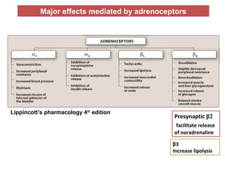 Lippincott’s pharmacology 4th
edition
Presynaptic β2
facilitate release
of noradrenaline
β3
Increase lipolysis
Major effects mediated by adrenoceptors
 