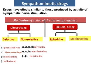 Mechanism of action of the adrenergic agonists
Direct-acting Indirect- acting
Selective Non-selective Ephedrine Amphetamine
α1:phenylephrine
α2: Alpha methyl Dopa
β1:dobutamine
β2:salbutamol
α1,α2,β1,β2:adrenaline
α1,α2,β1: noradrenaline
β1,β2: isoprinaline
Sympathomimetic drugs
Drugs have effects similar to those produced by activity of
sympathetic nerve stimulation
 