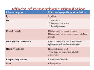 Effects of sympathetic stimulationEffector organs Effects of sympathetic stimulation
Eye Mydriasis
Heart ↑ heart rate
↑ force of contraction
↑ blood pressure
Blood vessels Dilatation of coronary arteries
Dilatation of blood vessels supply skeletal
muscle
Stomach and Intestine Inhibits Peristalsis and the tone of↑
sphincters and inhibits defecation
Urinary bladder Relaxes bladder wall
↑ the tone of sphincters inhibits
micturation
Respiratory system Dilatation of bronchi
liver Glycogenlysis
 