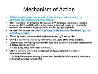 Mechanism of Action
• DPP-4 is a ubiquitous enzyme that acts on incretin hormones, and
degrades these hormones immediately.
• DPP-4 inhibitors : By inhibiting the enzyme DPP-4 increase the levels of incretin
hormones,GLP-1 and GIP, which in turn increase beta-cell insulin secretion in the
pancreas, thereby reducing postprandial and fasting hyperglycemia.
• Incretin hormones are : GLP-1 (glucagon-like peptide-1) and GIP (gastric
inhibitory peptide).
• These incretins are released within minutes of food intake.
• GLP-1 is a hormone secreted by enteroendocrine L cells of the small intestine.
• i. It stimulates secretion of insulin by the Beta cells, decreases Glucagon concentration
& delays gastric emptying.
ii. It has a half-life of fewer than 2 minutes.
• GIP is a hormone secreted in the stomach and proximal small intestine by
neuroendocrine K-cells.
i. Its half-life is approximately 7 minutes in healthy individuals and 5 minutes in
individuals with type 2 diabetes
 