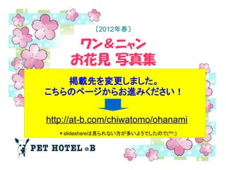 〔2012年春〕

        ワン＆ニャン
     お花見 写真集
   掲載先を変更しました。
こちらのページからお進みください！


http://at-b.com/chiwatomo/ohanami
  ＊slideshareは見られない方が多いようでしたので(^^;)
 