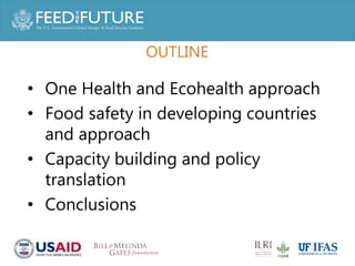 One Health and food safety research in developing countries | PPTX