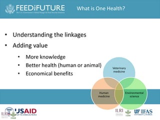 One Health and food safety research in developing countries