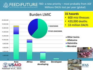 One Health and food safety research in developing countries