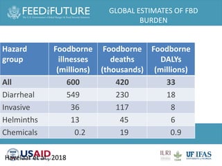 One Health and food safety research in developing countries