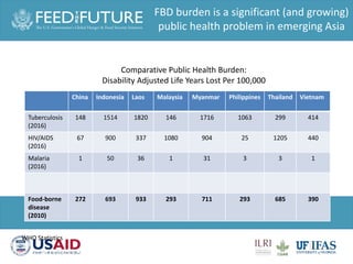 One Health and food safety research in developing countries