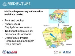 One Health and food safety research in developing countries