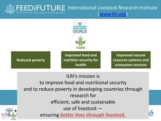 One Health and food safety research in developing countries