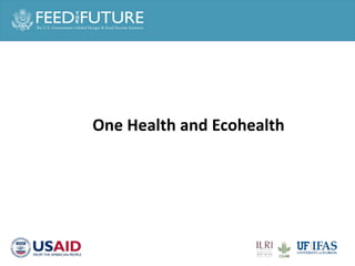 One Health and food safety research in developing countries
