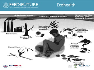 One Health and food safety research in developing countries