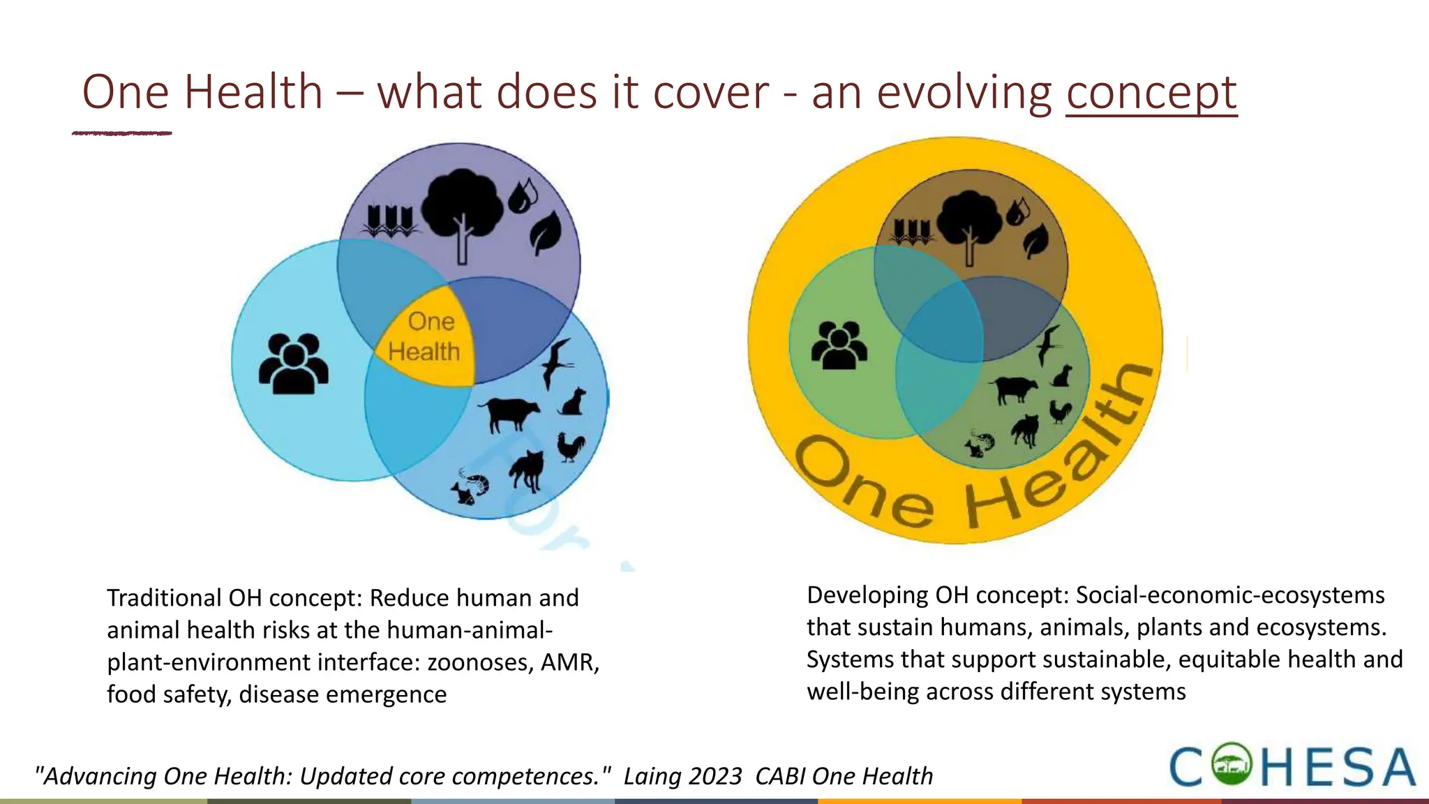 One Health – what does it cover - an evolving concept
Traditional OH concept: Reduce human and
animal health risks at the human-animal-
plant-environment interface: zoonoses, AMR,
food safety, disease emergence
Developing OH concept: Social-economic-ecosystems
that sustain humans, animals, plants and ecosystems.
Systems that support sustainable, equitable health and
well-being across different systems
"Advancing One Health: Updated core competences." Laing 2023 CABI One Health
 