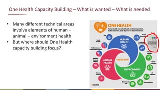 One Health Capacity Building – What is wanted – What is needed
• Many different technical areas
involve elements of human –
animal – environment health
• But where should One Health
capacity building focus?
 