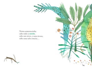 Oh as cores - pré mourão