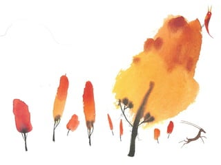 Oh as cores - pré mourão