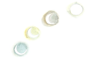 Oh as cores - pré mourão