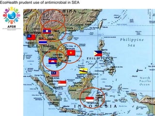 One Health and EcoHealth in Southeast Asia
