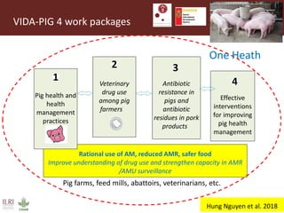 One Health and EcoHealth in Southeast Asia