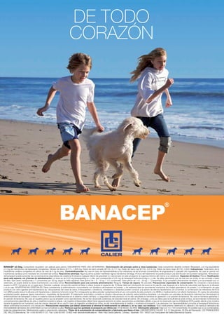 DE TODO
                                                                           CORAZÓN




BANACEP vet 5mg. Comprimido recubierto con película para perros. ÚNICAMENTE PARA USO VETERINARIO. Denominación del principio activo y otras sustancias: Cada comprimido divisible contiene: Benazepril...4,6 mg (equivalente
a 5 mg de Hidrocloruro de benazepril). Excipientes: Dióxido de titanio (E171)...1,929 mg. Óxido de hierro amarillo (E172)...0,117 mg. Óxido de hierro rojo (E172)...0,014 mg. Óxido de hierro negro (E172)...0,004. Indicaciones: Tratamiento de la
insuﬁciencia cardiaca congestiva en perros de más de 5 kg de peso. Contraindicaciones: No usar en caso de hipersensibilidad a los inhibidores de las enzimas convertidoras de angiotensina o cualquier otro ingrediente. No usar en perros con
insuﬁciencia cardiaca como resultado de una estenosis aórtica. Reacciones adversas: Algunos perros pueden manifestar signos transitorios de fatiga. Al inicio del tratamiento se puede producir una disminución de la presión sanguínea. Hidrocloruro
de benazepril puede aumentar las concentraciones plasmáticas de creatinina Si observa cualquier efecto de gravedad no mencionado en este prospecto, le rogamos informe del mismo a su veterinario. Especies de destino: Perros. Dosiﬁcación
para cada especie, vía y formas de administración: La dosis es de 0,23 mg benazepril/kg p.v. y día, que corresponde a 0,25 mg de benazepril hidrocloruro/kg p.v. y día. Se debe administrar por vía oral una vez al día, en las comidas o fuera
de ellas. Esta dosis corresponde a 1 comprimido por 20 kg, según la tabla siguiente: Para perros de > 5 - 10 kg = 1/2 comprimido. Para perros de >10 - 20 kg = 1 comprimido. Si se considera clínicamente necesario y es aconsejado por un
veterinario, se puede doblar la dosis (manteniendo una única toma). Recomendación para una correcta administración: Ninguna. Tiempo de espera: No procede. Precauciones especiales de conservación: No conservar a temperatura
superior a 25ºC. Conservar en un lugar seco. Devolver cualquier comprimido partido al blister y utilizar durante el siguiente día. El blister debe ser introducido de nuevo en la caja.No usar después de la fecha de caducidad que ﬁgura en la etiqueta
y en la caja. ADVERTENCIAS ESPECIALES: Debe considerarse la administración concomitante con diuréticos ahorradores de potasio, y de realizarse ésta se recomienda monitorizar los niveles plasmáticos de potasio. La combinación de este
producto con otros agentes anti-hipertensivos (ej.: bloqueadores del canal de calcio, ß bloqueantes o diuréticos), anestésicos o sedantes pueden conducir a la adición de efectos hipotensivos. En el hombre, la combinación de inhibidores del ECA
con AINEs puede reducir la eﬁcacia anti-hipertensiva o deteriorar la función renal. Por consiguiente se debe estudiar cuidadosamente el uso concurrente de este producto con AINEs o medicamentos con efecto hipotensivo. En casos de sobredosis
accidental pueden aparecer signos transitorios y reversibles de hipotensión. El tratamiento sintomático consiste en infusión intravenosa de solución salina isotónica templada. Los estudios con animales de laboratorio (ratones) han demostrado la
embriotoxicidad de benazepril a dosis no materno tóxicas (malformaciones en el sistema urinario del feto). La seguridad de este producto no ha sido estudiada en hembras en gestación o en periodo de lactancia. No usar en hembras gestantes o
en periodo de lactancia. No usar en aquellos perros que se empleen como reproductores. No se han observado evidencias de toxicidad renal en perros. Sin embargo, como se utiliza para la insuﬁciencia renal crónica, se recomienda monitorizar las
concentraciones plasmáticas de urea y creatinina durante la terapia. Las mujeres embarazadas deben tener especial atención en evitar exposiciones accidentales debido a que se ha observado que los inhibidores ECA pueden afectar a los nonatos
durante la gestación en humanos.Lavar las manos después de su uso.En caso de ingestión accidental en niños, acudir inmediatamente al medico y mostrarle el prospecto. Las personas con hipersensibilidad conocida al benazepril hidrocloruro
deben administrar el producto con precaución. Precauciones especiales que deben observarse al eliminar el medicamento no utilizado o, en su caso, sus residuos: Todo medicamento veterinario no utilizado o los residuos derivados del
mismodeberán eliminarse de conformidad con las normativas locales. Fecha en que fue aprobado el prospecto por última vez: 25 de febrero de 2008. Información adicional: Caja con 14 o 140 comprimidos. Es posible que no se comercialicen
todas las presentaciones. Medicamento sujeto a prescripción veterinaria. Titular de la autorización de comercialización y fabricante que libera el lote: LABORATORIOS CALIER, S.A. C/ Barcelonès, 26 (Pla del Ramassà). LES FRANQUESES
DEL VALLÈS (Barcelona). Tel.: (+34) 93 849 51 33 - Fax: (+34) 93 840 13 98.E-mail: laboratorios@calier.es - Web: http://www.calier.es. Corresp.: Apartado 150 - 08520 Les Franqueses del Vallès (Barcelona) España.
 