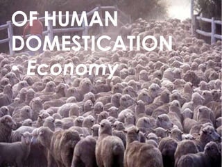 OF HUMAN
DOMESTICATION
• Economy

 